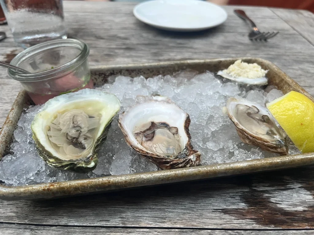 Oysters The Optimist